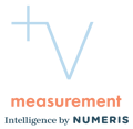 VM Intelligence Logo - Variation Colored - EN